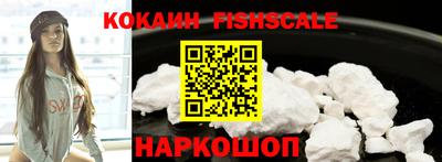jwh Бийск