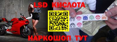шишки Беслан