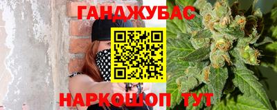 jwh Бийск