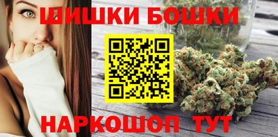 jwh Бийск