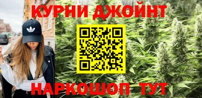 jwh Бийск