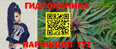 jwh Бийск