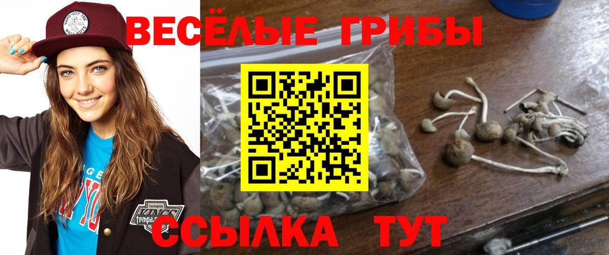 даркнет сайт  Псилоцибиновые грибы MAGIC MUSHROOMS  Вход с VPN  Кашира 